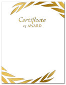 Gold Foil Embossed Certificate of Award from Cool School Studios.