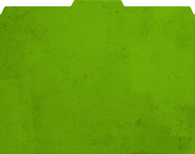 Images shows 07000 Rustic Green File-'N Style Folder. Textured, green outside with 1/3 tab.