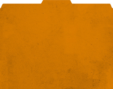 Image shows Rustic Orange File-’N Style Folder with 1/3 tab.