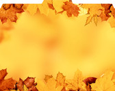 Images shows folded view of Autumn Leaves File-'N Style Folder with 1/3 tab cut.