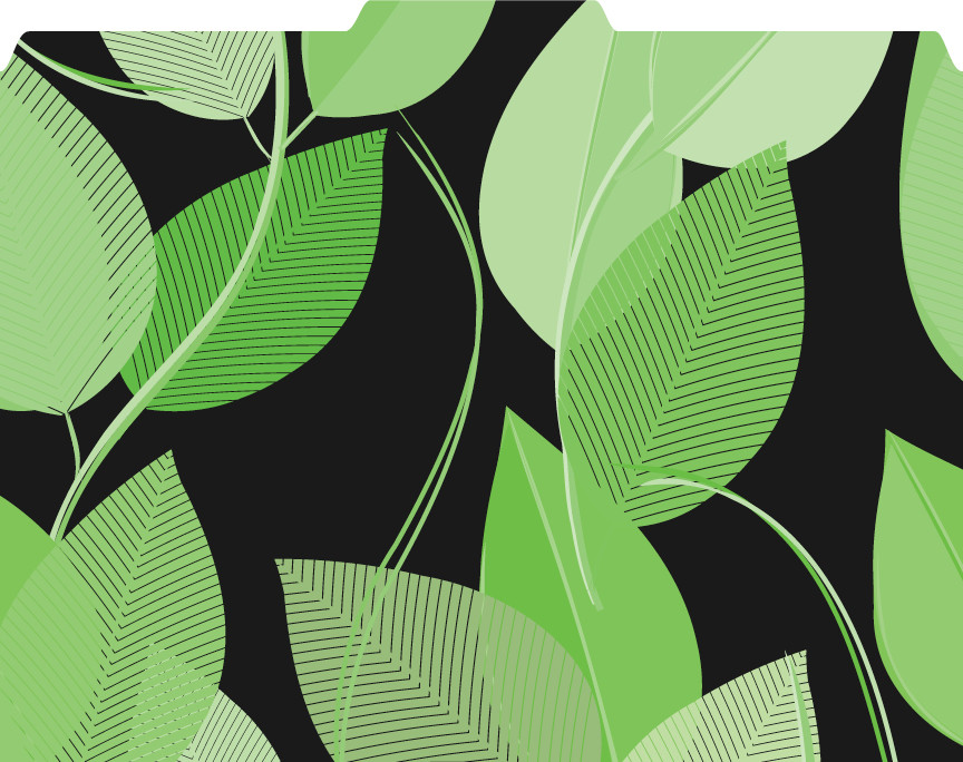 Set of 12 Cool School Studios - Green Leaves File-'N Style Folders