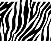 Image shows a zebra print pattern in black and white on a 1/3 cut tab file folder.