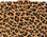 Image shows a 1/3 cut tab file folder with a leopard print pattern in tans, browns and blacks.