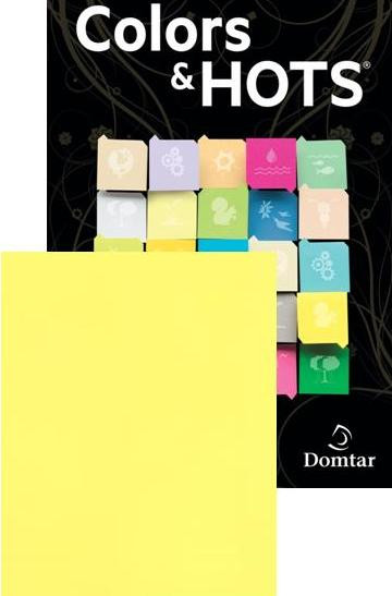 Domtar Assorted Color Printer Paper - Blue, green, pink, canary, goldenrod  - Letter A Size (8.5 in x 11 in) 20 lbs - 625 sheet(s) plain paper