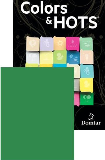 Green - HOTS® - Color Paper 8 1/2” x 11”- 65 lb. Cover - Pack of