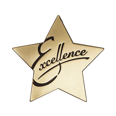 Shown is the “Excellence” Star Series Medallion (Cool School Studios SS077M).