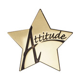 Shown is the “Attitude” Star Series Medallion (Cool School Studios SS079M).
