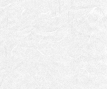 Japanese Shoji Paper