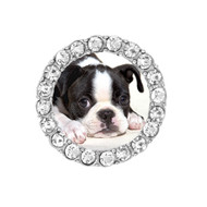 personalize dog photo sneaker charm