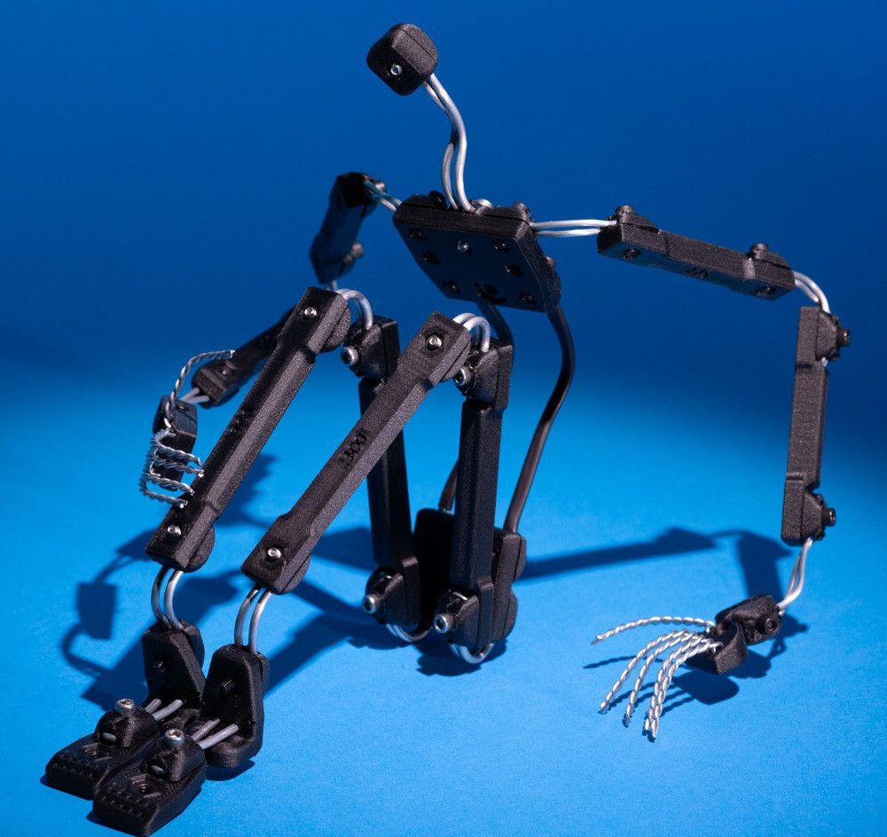 Human Armature Kit, Standard Size - Berkey System
