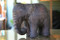 Elephant Statue 	Photo: Joanna Hall and Billabong Retreat
