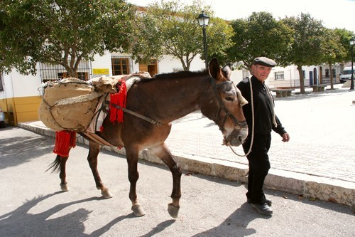 Alhama Village Donkey Man