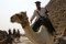 Giza Camel Cop
