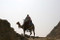 Giza Camel Rider