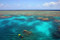 Snorkelling The Reef