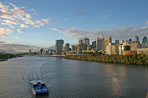 Brisbane River Cat