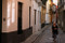 Santa Cruz or the Old Jewish Quarter, Seville