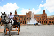 Horse Drawn Carriage at Plaza de Espana