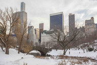 New York's Central Park In Winter (Tagger Yancey)