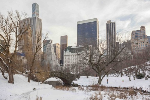 New York's Central Park In Winter (Tagger Yancey)