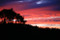 Eagle View Escape Sunset 	Photo: Ben Hall