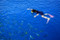 Snorkelling the Whitsundays