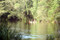 Mossman River Kayaks