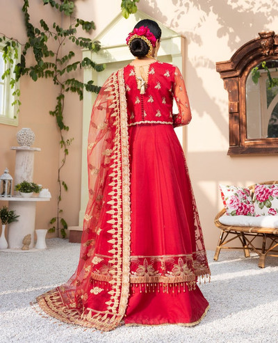 embroidered Pareesia Formals Chiffon Suit Australia 03