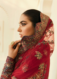 Shop Online Akbar Aslam Party Wear Collection London 04