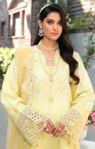  Anaya ChikenKari Collection Washington