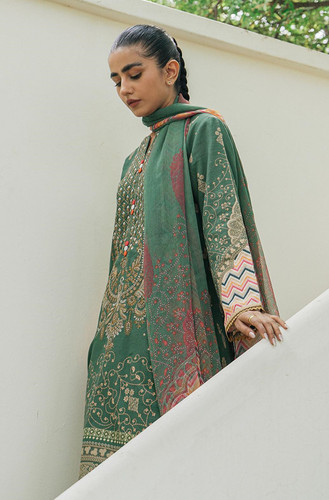 Beech Tree Winter Collection USA