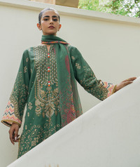 Beech Tree Winter Collection USA