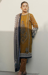 Beech Tree Winter Collection Chicago