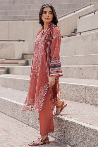 Beech Tree Winter Collection Vegas