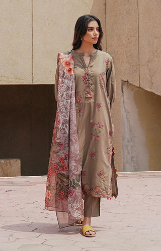 Beech Tree Winter Collection Lords