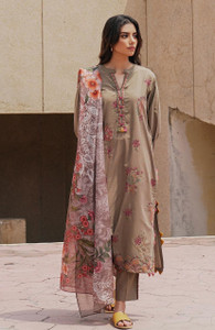 Beech Tree Winter Collection Lords