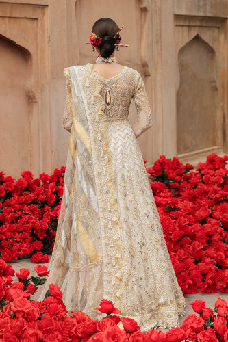 Most Popular Afrozeh Designer Collection Ireland 02