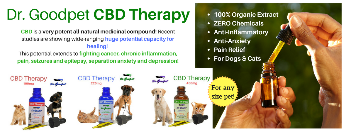 Dr Goodpet Cbd Hemp Oil For Dogs And Cats