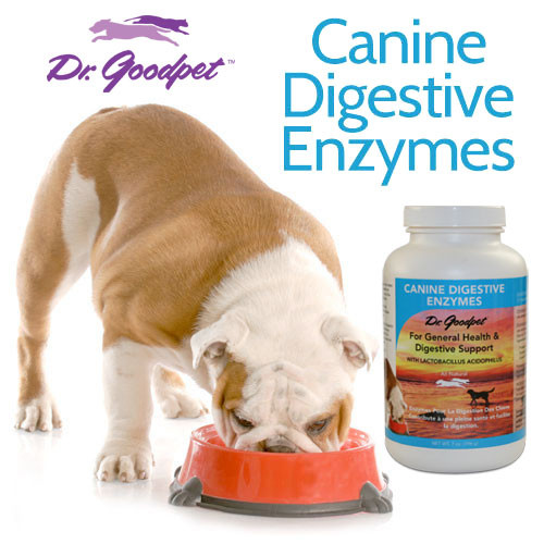 Dr. Goodpet - Canine Digestive Enzymes