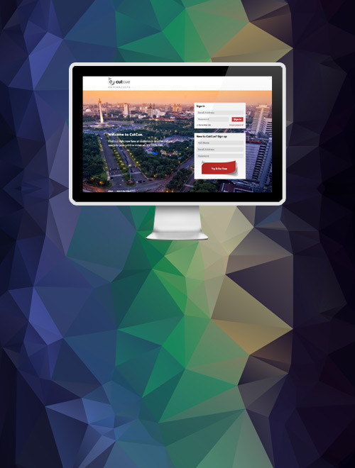 Startup Web Development