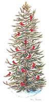 PP Cardinal Tree