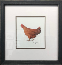 Rhode Island Red Hen Original Framed