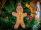 Gingerbread Man
5 Inches Tall and 3 inches wide