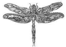 DS - Dragon Fly (11x14)