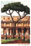 Italy Mini - Pines 2