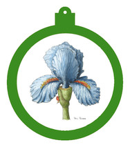 PP - Orn - Iris - Lady Bug Blue
