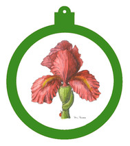 PP - Orn - Iris - Lady Bug Red