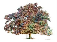 Turner Family Oak - Cane Ridge - multi color
