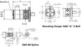 BMPH Series Motor BMPH-250-H2-S-S