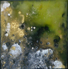 After the Storm II